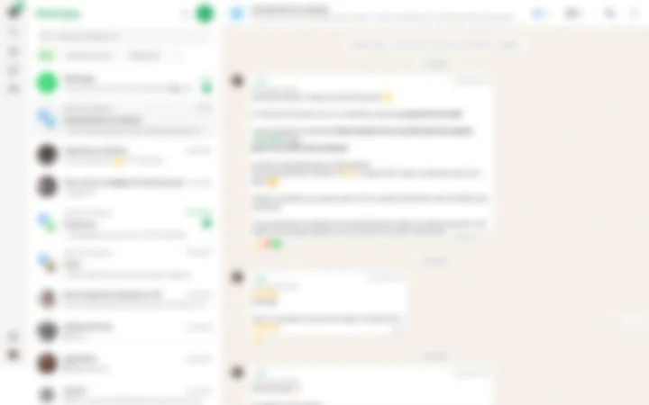 개인정보 보호를 위해 흐리게 처리한 WhatsApp Web 채팅 캡처